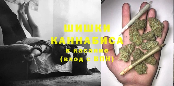 СК Елизово