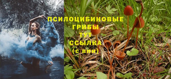 СК Елизово