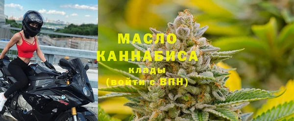 СК Елизово