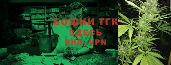 СК Елизово