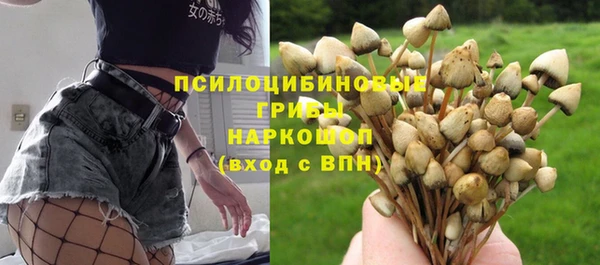 эйфоретик Елабуга
