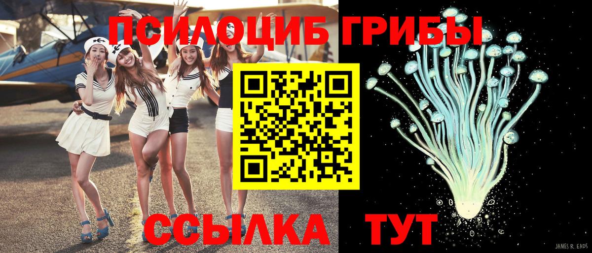 Ивантеевка  Псилоцибиновые грибы мухоморы  Вход с VPN 